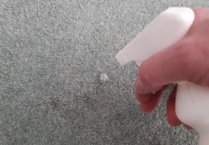 Treating a mark on a wool rug with a spot removal spray