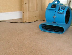 An air blower drying the freshly cleaned carpet